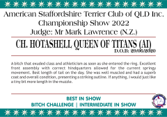 5.A. CH. HOTASHELL QUEEN OF TITANS (AI).png